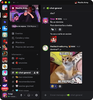 Vista previa del servidor de Discord